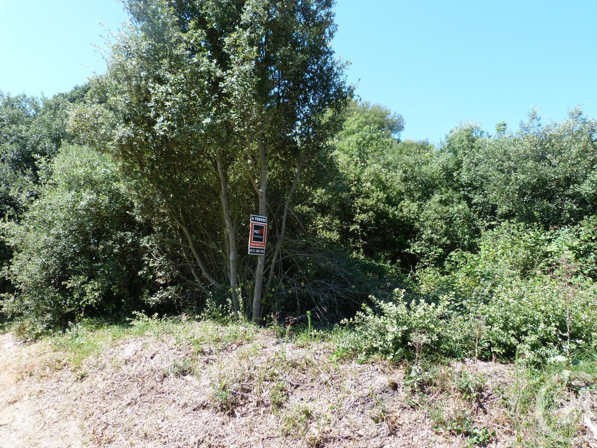 Terrain à vendre - 1029 m2 - LA TRANCHE SUR MER - 85 - PAYS-DE-LOIRE