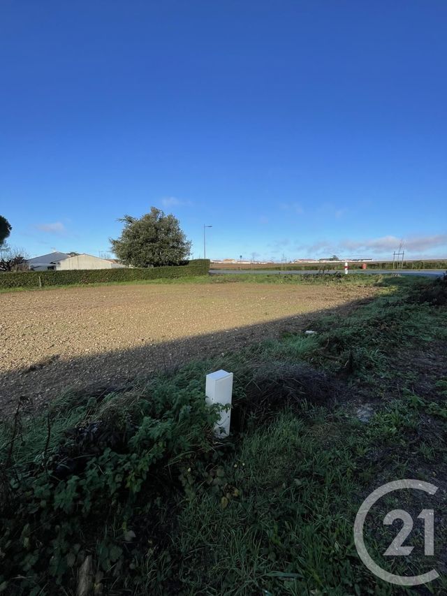 terrain à vendre - 521.0 m2 - LONGEVILLE SUR MER - 85 - PAYS-DE-LOIRE - Century 21 Côte De Lumière