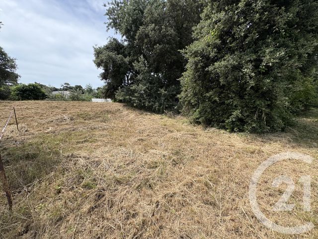 terrain à vendre - 460.0 m2 - LA TRANCHE SUR MER - 85 - PAYS-DE-LOIRE - Century 21 Côte De Lumière
