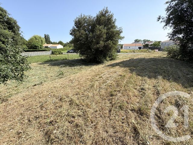 terrain à vendre - 460.0 m2 - LA TRANCHE SUR MER - 85 - PAYS-DE-LOIRE - Century 21 Côte De Lumière