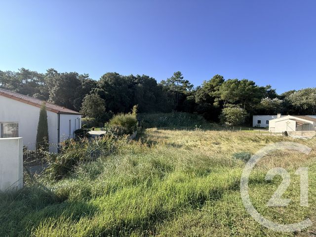 terrain - LA TRANCHE SUR MER - 85