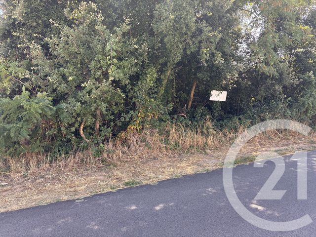 terrain à vendre - 848.0 m2 - LA TRANCHE SUR MER - 85 - PAYS-DE-LOIRE - Century 21 Côte De Lumière